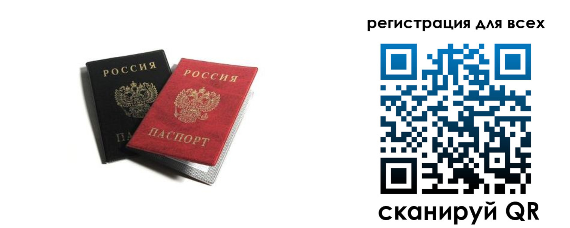 прописка гарантия в Шилке